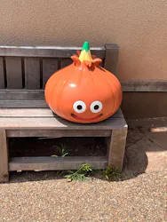 ニジゲンノモリに投稿された画像（2026/8/7）
