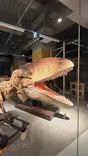 福井県立恐竜博物館に投稿された画像（2026/8/7）