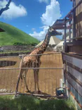 伊豆シャボテン動物公園に投稿された画像（2026/8/7）
