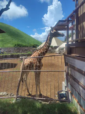 伊豆シャボテン動物公園に投稿された画像（2026/8/7）