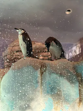 名古屋港水族館に投稿された画像（2026/8/7）