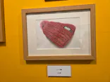 プレバト才能アリ展（大阪会場）に投稿された画像（2026/8/7）