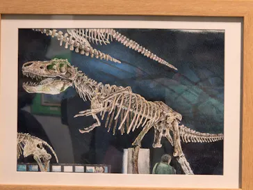 プレバト才能アリ展（大阪会場）に投稿された画像（2026/8/7）
