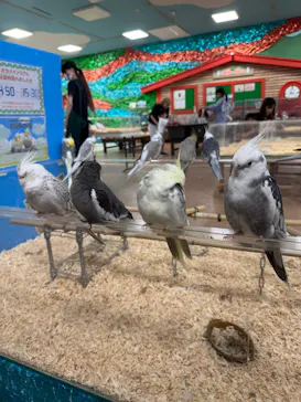 いきもの探検隊上尾に投稿された画像（2026/8/7）