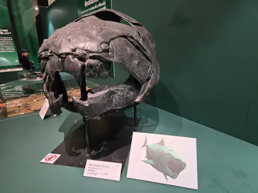 特別展　大絶滅展に投稿された画像（2026/8/7）
