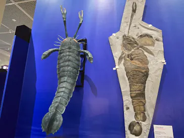 特別展　大絶滅展に投稿された画像（2026/8/7）