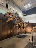 ヨコハマ恐竜展２０２６～恐竜の食卓大図鑑～に投稿された画像（2026/8/7）