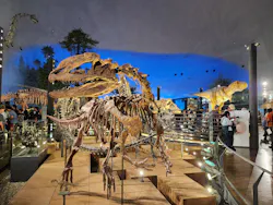 福井県立恐竜博物館に投稿された画像（2026/8/7）