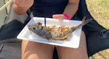 伊豆海洋公園磯プールに投稿された画像（2026/8/8）