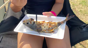 伊豆海洋公園磯プールに投稿された画像（2026/8/7）