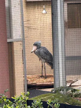 恩賜上野動物園に投稿された画像（2026/8/7）