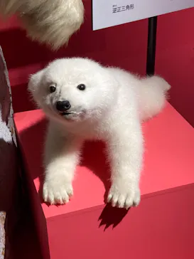 特別展「いきもの超ワールド展　国立科学博物館×ダーウィンが来た！」（国立科学博物館）に投稿された画像（2026/8/7）