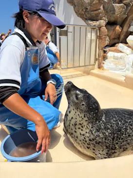 越前松島水族館に投稿された画像（2026/8/7）