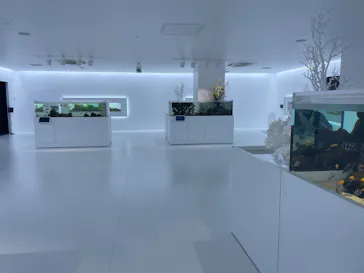 広島もとまち水族館に投稿された画像（2026/8/8）