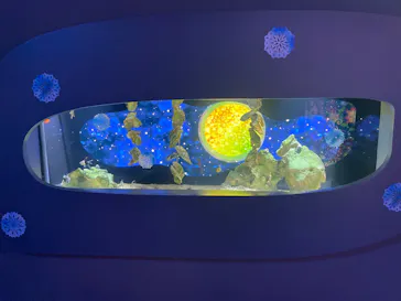 広島もとまち水族館に投稿された画像（2026/8/8）