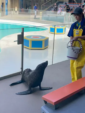 みやじマリン宮島水族館に投稿された画像（2026/8/8）