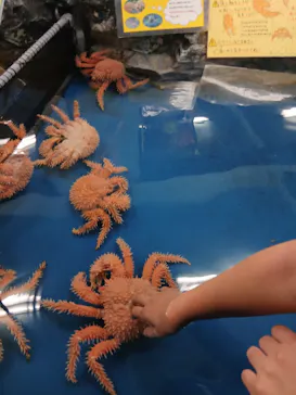 竹島水族館に投稿された画像（2026/8/8）