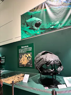 特別展　大絶滅展に投稿された画像（2026/8/8）