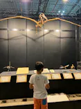 ヨコハマ恐竜展２０２６～恐竜の食卓大図鑑～に投稿された画像（2026/8/8）