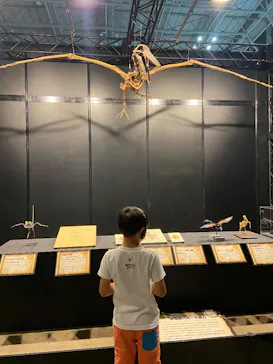 ヨコハマ恐竜展２０２６～恐竜の食卓大図鑑～に投稿された画像（2026/8/8）