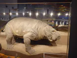 福井県立恐竜博物館に投稿された画像（2026/8/8）