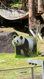 上野動物園 ハシビロカートに投稿された画像（2026/8/8）