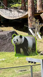 上野動物園 ハシビロカートに投稿された画像（2026/8/8）