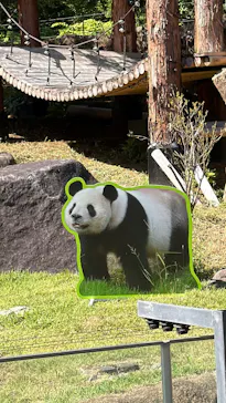 上野動物園 ハシビロカートに投稿された画像（2026/8/8）