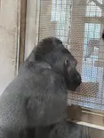 名古屋市東山動植物園に投稿された画像（2026/8/8）