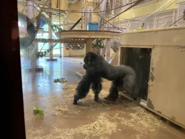 名古屋市東山動植物園に投稿された画像（2026/8/8）
