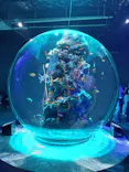 AQUARIUM × ART　atoaに投稿された画像（2026/8/8）