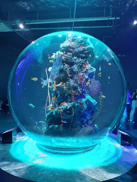 AQUARIUM × ART　atoaに投稿された画像（2026/8/8）