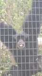 名古屋市東山動植物園に投稿された画像（2026/8/8）