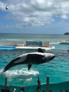 鴨川シーワールドに投稿された画像（2026/8/8）