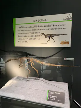 福井県立恐竜博物館に投稿された画像（2026/8/8）