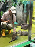 竹島水族館に投稿された画像（2026/8/8）