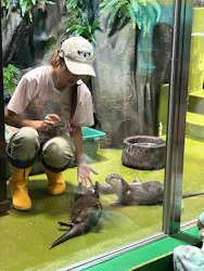 竹島水族館に投稿された画像（2026/8/8）