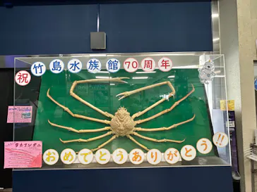 竹島水族館に投稿された画像（2026/8/8）