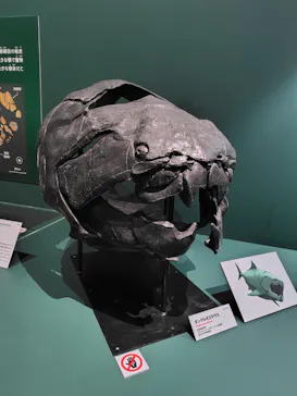 特別展　大絶滅展に投稿された画像（2026/8/8）