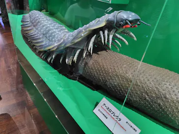 特別展　大絶滅展に投稿された画像（2026/8/8）