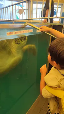 越前松島水族館に投稿された画像（2026/8/8）