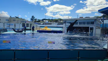 越前松島水族館に投稿された画像（2026/8/8）