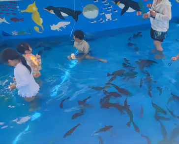 越前松島水族館に投稿された画像（2026/8/8）
