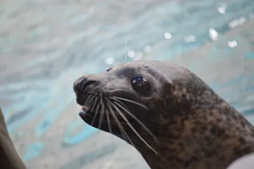 京都水族館に投稿された画像（2026/8/8）