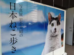 写真展　岩合光昭の「日本ねこ歩き」（愛知会場）に投稿された画像（2026/8/8）