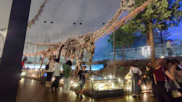 福井県立恐竜博物館に投稿された画像（2026/8/8）