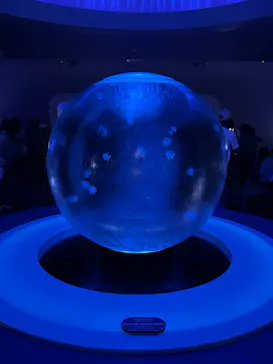 新江ノ島水族館に投稿された画像（2026/8/8）