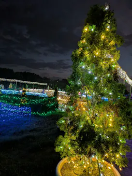 せんだい農業園芸センター　みどりの杜に投稿された画像（2026/8/8）
