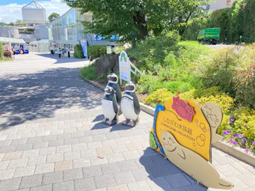 しながわ水族館に投稿された画像（2026/8/8）