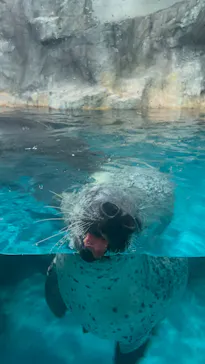 大分マリーンパレス水族館 「うみたまご」に投稿された画像（2026/8/8）
